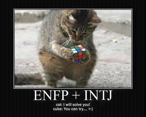 ENFP and INTJ