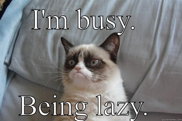 Busy-Being-Lazy.jpg