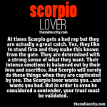 Scorpio Memes and Funny Pictures