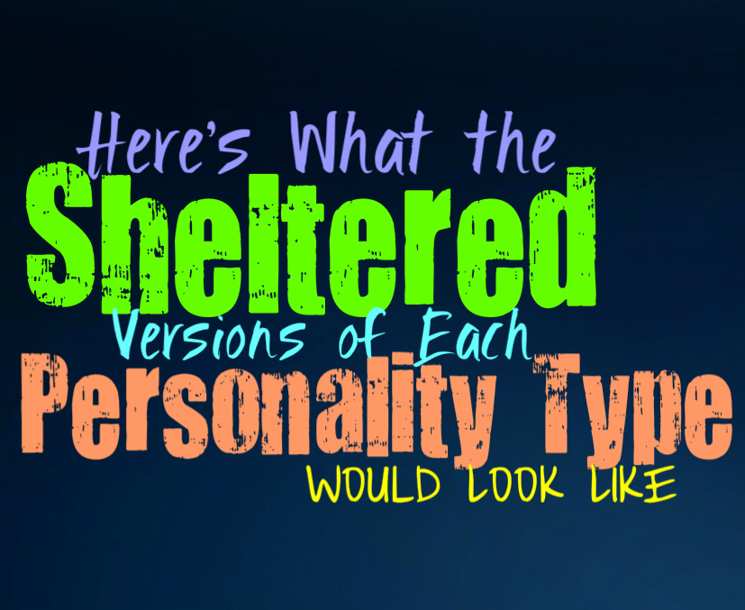 Here’s What the Sheltered Versions of Each Personality Type Would Look Like