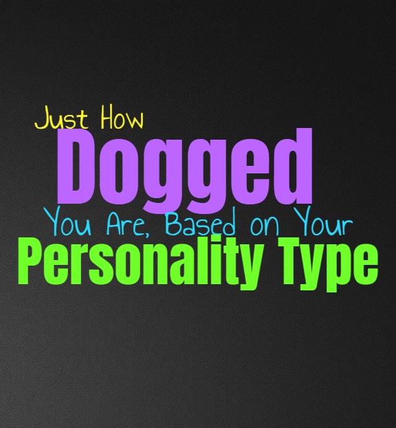 Just How Dogged You Are, Based on Your Personality Type