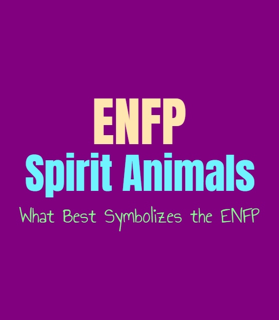 ENFP Spirit Animals: What Best Symbolizes the ENFP