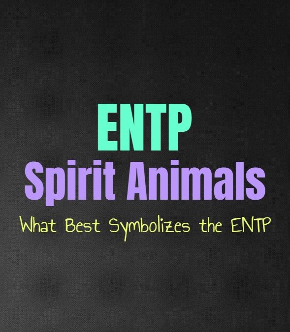 ENTP Spirit Animals: What Best Symbolizes the ENTP