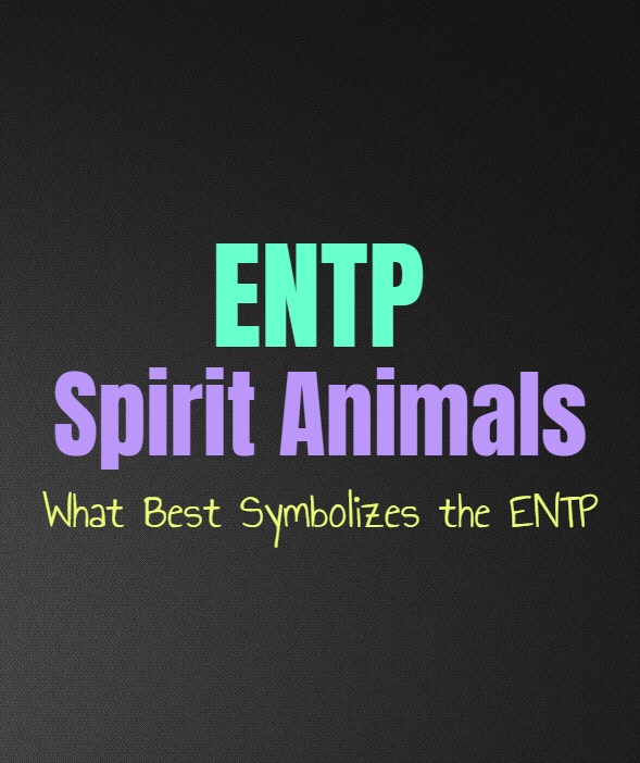 MBTI Personalities - Unleashing Your Inner Spirit Animal 