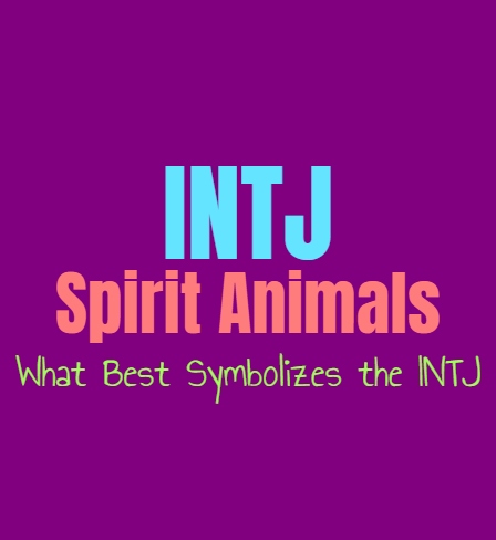 INTJ Spirit Animals: What Best Symbolizes the INTJ