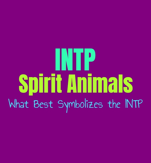 INTP Spirit Animals: What Best Symbolizes the INTP