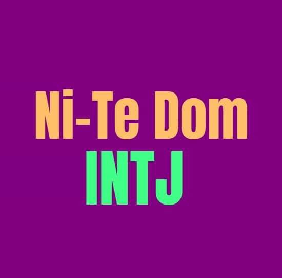 Ni Te Dom The First Two Functions Of The Intj Personality Growth